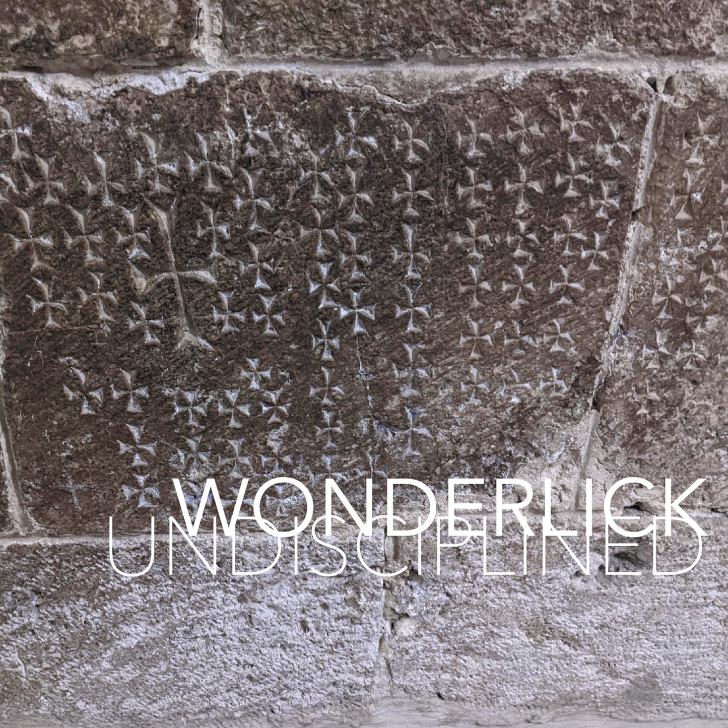 Undisciplined CD